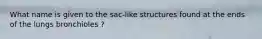 What name is given to the sac-like structures found at the ends of the lungs bronchioles ?