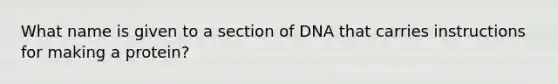 What name is given to a section of DNA that carries instructions for making a protein?