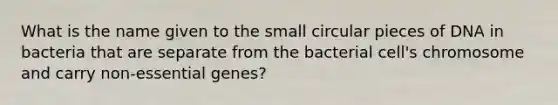 What is the name given to the small circular pieces of DNA in bacteria that are separate from the bacterial cell's chromosome and carry non-essential genes?