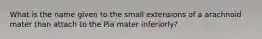 What is the name given to the small extensions of a arachnoid mater than attach to the Pia mater inferiorly?