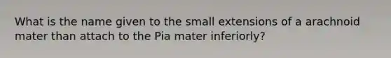 What is the name given to the small extensions of a arachnoid mater than attach to the Pia mater inferiorly?