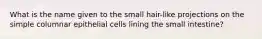 What is the name given to the small hair-like projections on the simple columnar epithelial cells lining the small intestine?