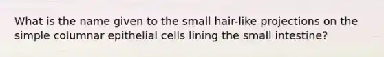 What is the name given to the small hair-like projections on the simple columnar epithelial cells lining the small intestine?