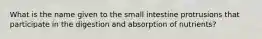 What is the name given to the small intestine protrusions that participate in the digestion and absorption of nutrients?