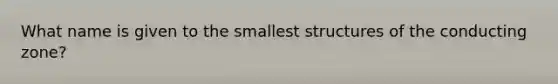 What name is given to the smallest structures of the conducting zone?