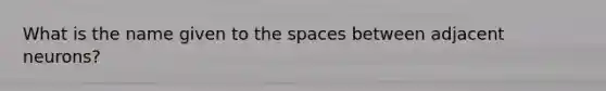 What is the name given to the spaces between adjacent neurons?