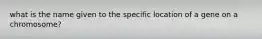 what is the name given to the specific location of a gene on a chromosome?