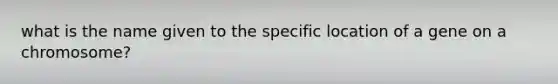 what is the name given to the specific location of a gene on a chromosome?