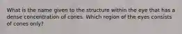 What is the name given to the structure within the eye that has a dense concentration of cones. Which region of the eyes consists of cones only?