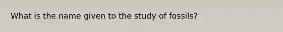 What is the name given to the study of fossils?