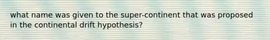 what name was given to the super-continent that was proposed in the continental drift hypothesis?