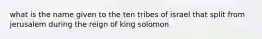 what is the name given to the ten tribes of israel that split from jerusalem during the reign of king solomon