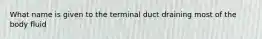 What name is given to the terminal duct draining most of the body fluid