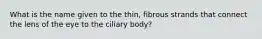 What is the name given to the thin, fibrous strands that connect the lens of the eye to the ciliary body?