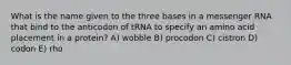 What is the name given to the three bases in a messenger RNA that bind to the anticodon of tRNA to specify an amino acid placement in a protein? A) wobble B) procodon C) cistron D) codon E) rho