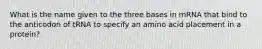 What is the name given to the three bases in mRNA that bind to the anticodon of tRNA to specify an amino acid placement in a protein?