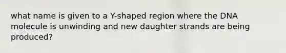 what name is given to a Y-shaped region where the DNA molecule is unwinding and new daughter strands are being produced?