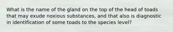 What is the name of the gland on the top of the head of toads that may exude noxious substances, and that also is diagnostic in identification of some toads to the species level?