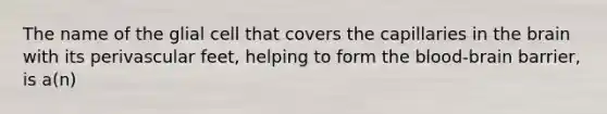 The name of the glial cell that covers the capillaries in the brain with its perivascular feet, helping to form the blood-brain barrier, is a(n)