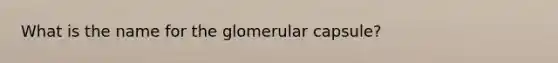 What is the name for the glomerular capsule?