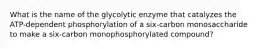 What is the name of the glycolytic enzyme that catalyzes the ATP-dependent phosphorylation of a six-carbon monosaccharide to make a six-carbon monophosphorylated compound?