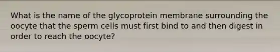 What is the name of the glycoprotein membrane surrounding the oocyte that the sperm cells must first bind to and then digest in order to reach the oocyte?