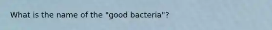 What is the name of the "good bacteria"?