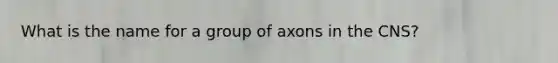 What is the name for a group of axons in the CNS?