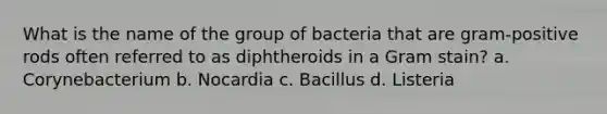 What is the name of the group of bacteria that are gram-positive rods often referred to as diphtheroids in a Gram stain? a. Corynebacterium b. Nocardia c. Bacillus d. Listeria