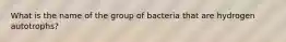 What is the name of the group of bacteria that are hydrogen autotrophs?