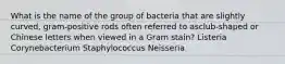 What is the name of the group of bacteria that are slightly curved, gram-positive rods often referred to asclub-shaped or Chinese letters when viewed in a Gram stain? Listeria Corynebacterium Staphylococcus Neisseria