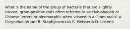 What is the name of the group of bacteria that are slightly curved, gram-positive rods often referred to as club-shaped or Chinese letters or pleomorphic when viewed in a Gram stain? A. Corynebacterium B. Staphylococcus C. Neisseria D. Listeria