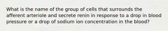 What is the name of the group of cells that surrounds the afferent arteriole and secrete renin in response to a drop in blood pressure or a drop of sodium ion concentration in the blood?