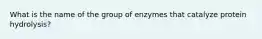 What is the name of the group of enzymes that catalyze protein hydrolysis?