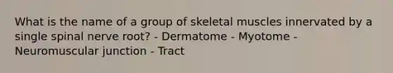 What is the name of a group of skeletal muscles innervated by a single spinal nerve root? - Dermatome - Myotome - Neuromuscular junction - Tract