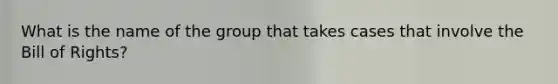 What is the name of the group that takes cases that involve the Bill of Rights?