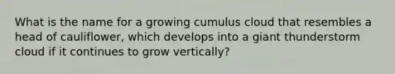 What is the name for a growing cumulus cloud that resembles a head of cauliflower, which develops into a giant thunderstorm cloud if it continues to grow vertically?