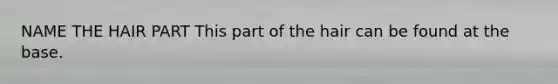 NAME THE HAIR PART This part of the hair can be found at the base.