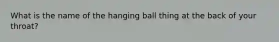 What is the name of the hanging ball thing at the back of your throat?