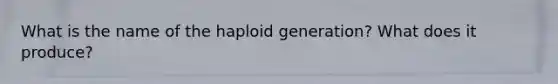 What is the name of the haploid generation? What does it produce?