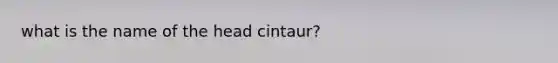 what is the name of the head cintaur?