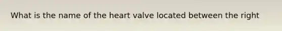 What is the name of the heart valve located between the right