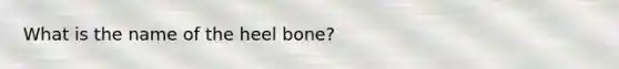 What is the name of the heel bone?