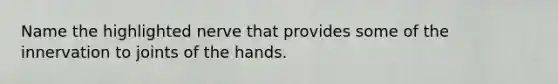 Name the highlighted nerve that provides some of the innervation to joints of the hands.