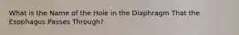 What is the Name of the Hole in the Diaphragm That the Esophagus Passes Through?