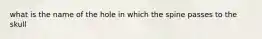 what is the name of the hole in which the spine passes to the skull