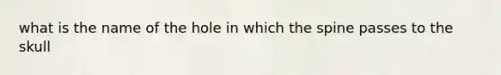 what is the name of the hole in which the spine passes to the skull