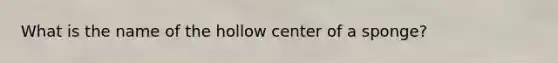 What is the name of the hollow center of a sponge?