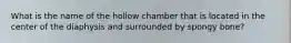 What is the name of the hollow chamber that is located in the center of the diaphysis and surrounded by spongy bone?