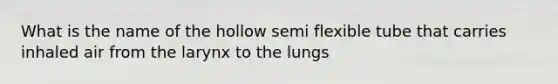 What is the name of the hollow semi flexible tube that carries inhaled air from the larynx to the lungs